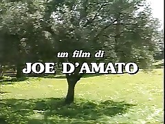 复古的性别视频-80年代的色情片丛林